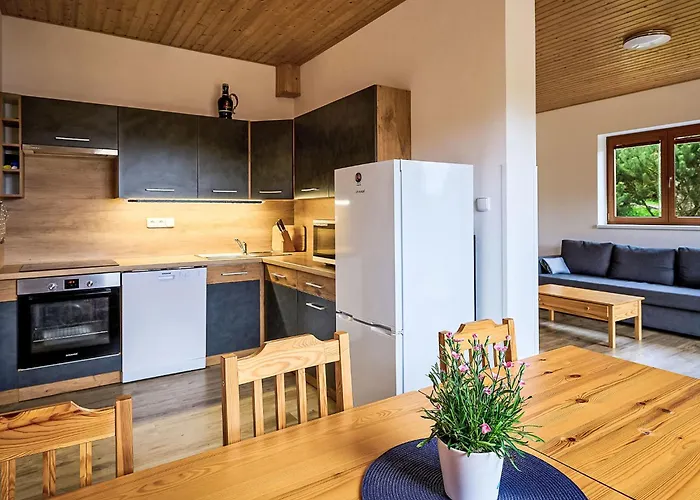 Pod Cernou Studnici-1 By Interhome Nova Ves nad Nisou